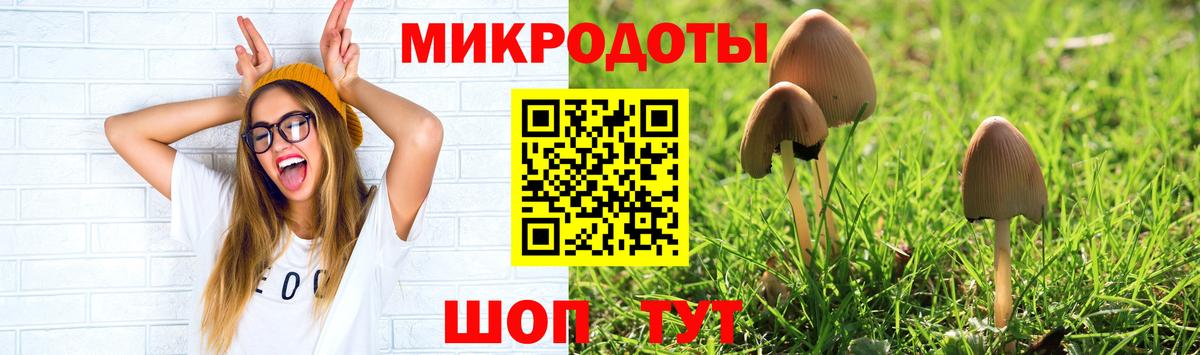Донской  Галлюциногенные грибы Magic Shrooms  Вход с VPN  Галлюциногенные грибы GOLDEN TEACHER 